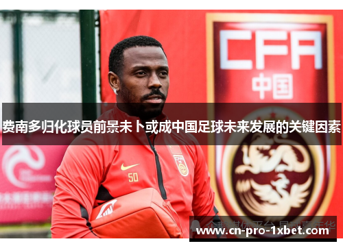 费南多归化球员前景未卜或成中国足球未来发展的关键因素