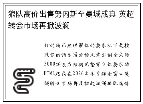 狼队高价出售努内斯至曼城成真 英超转会市场再掀波澜