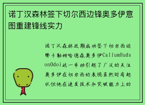 诺丁汉森林签下切尔西边锋奥多伊意图重建锋线实力 诺丁汉森林签下切尔西边锋奥多伊意图重建锋线实力